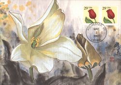 Tulip Coil Maximum Cards Postcard Postcard Postcard