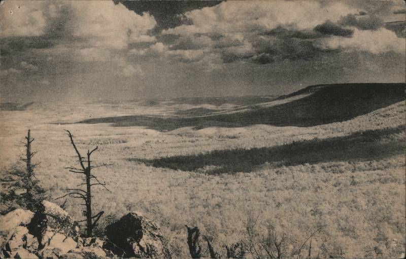 Grouse and Wild Turkeys, Deer and other Mammals are found on wooded slopes of Hawk Mountain Sanctuary