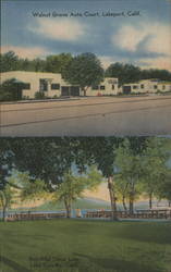 Walnut Grove Auto Court Postcard