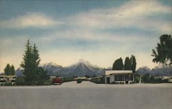 Motel Drake Postcard