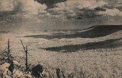 Grouse and Wild Turkeys, Deer and other Mammals are found on wooded slopes of Hawk Mountain Sanctuary Postcard
