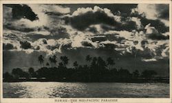 Hawaii--The Mid-Pacific Paradise SS Pres. Wilson Postcard Postcard Postcard