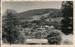 Birds Eye View of Town and German Hill Tionesta, PA Postcard Postcard Postcard