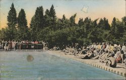 The Swimming Pool at Hoberg's Postcard