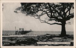 Municipal Bathing Pier Pascagoula, MS Postcard Postcard Postcard