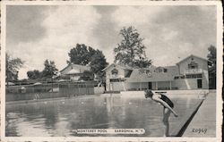 Monterey Pool Bardonia, NY Postcard Postcard Postcard