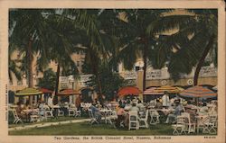 Tea Gardens British Colonial Hotel Nassau, Bahamas Caribbean Islands Postcard Postcard Postcard