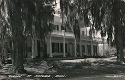 Linden Bed & Breakfast Natchez, MS Postcard Postcard Postcard