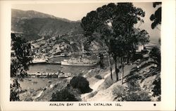 Avalon Bay Santa Catalina Island, CA Postcard Postcard Postcard