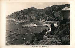 Avalon Bay & Chimes California Postcard Postcard Postcard