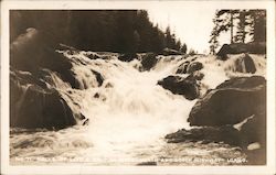 No. 71 Falls of Little Salmon River Idaho Postcard Postcard Postcard