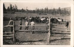 E.L.C. Ranch Springerville Arizona Postcard Postcard Postcard