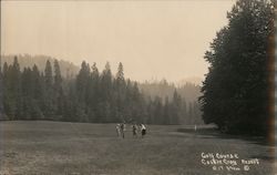 Golf Course at Castle Crag Resort Postcard