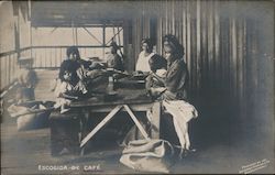 Escogida de Cafe - Women Packing Coffee Beans Postcard