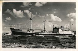 Stock #993337 Thumbnail