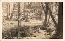 Picnic Grounds in Lithia Park Postcard
