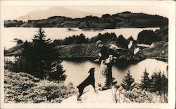 Man and Dog on Top of a Mountain Postcard