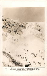 Spring Skiing in Tuckerman Ravine Eastern Slope Mount Washington, NH Postcard Postcard Postcard