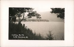 Looking North Lake Dunmore, VT Postcard