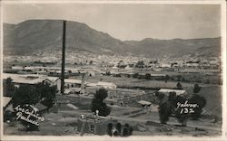 Los Culitos in Pachuca Mexico Postcard