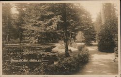 Beacon Hill Park Postcard