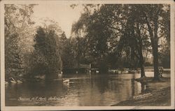 Beacon Hill Park Postcard