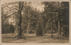 The Beacon Hill Park Postcard