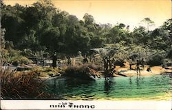 Swimming at Trang Fairy Stream - Vietnam War Era Postcard