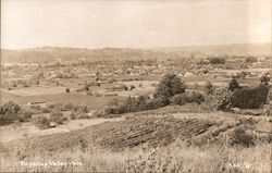 View of Puyallup Valley Postcard
