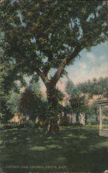 Council Oak Tree Council Grove, KS Postcard Postcard Postcard