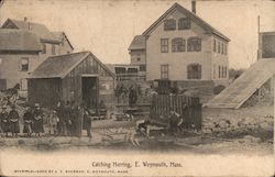 Catching Herring, E. Weymouth Mass. East Weymouth, MA Postcard Postcard Postcard