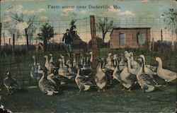Farm Scene Near Dadeville Postcard