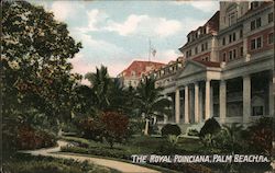 The Royal Poinciana Palm Beach, FL Postcard Postcard Postcard