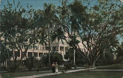 Royal Poinciana Hotel Front Gardens Palm Beach, FL Postcard Postcard Postcard