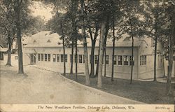 The New Woodlawn Pavilion Delavan, WI Postcard Postcard Postcard