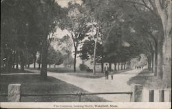 The Commons Looking North Wakefield, MA Postcard Postcard Postcard