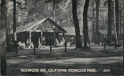 Redwood Inn, California Redwood Park Postcard