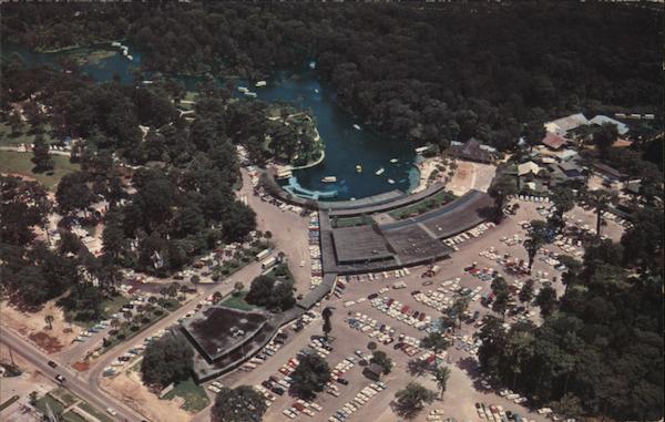 Aerial Photograph Silver Springs Florida