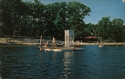 The Grove on the Lake Postcard