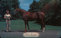 Whirlaway - Calumet Farm's First triple crown winner; Kentucky Derby Horse Racing Postcard Postcard Postcard