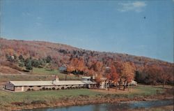 The Willowemoc Motel Livingston Manor, NY Postcard Postcard Postcard