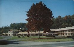 Crislip Motor Lodge, a Quality Courts Motel with TV and A/C, Pool. Nearby dining, State Park, and golf courses. Postcard