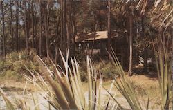 Cabin, Hunting Island, Hunting Island State Park Postcard