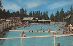 Lehman Hot Springs Ukiah, OR L.L. Perkins Postcard Postcard Postcard