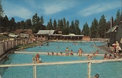 Lehman Hot Springs Postcard