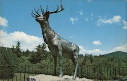 The Elk on the Trail Monument Postcard