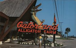 Gatorland St. Augustine, FL Postcard Postcard Postcard