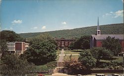 Albright College Campus Postcard