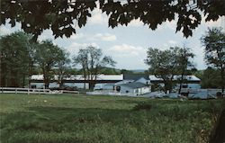 The Kent School Stables Postcard