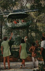 Rainbow Springs Postcard